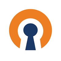 VPN Logo
